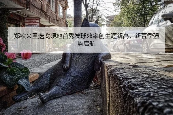 郑钦文圣迭戈硬地首秀发球效率创生涯新高，新赛季强势启航