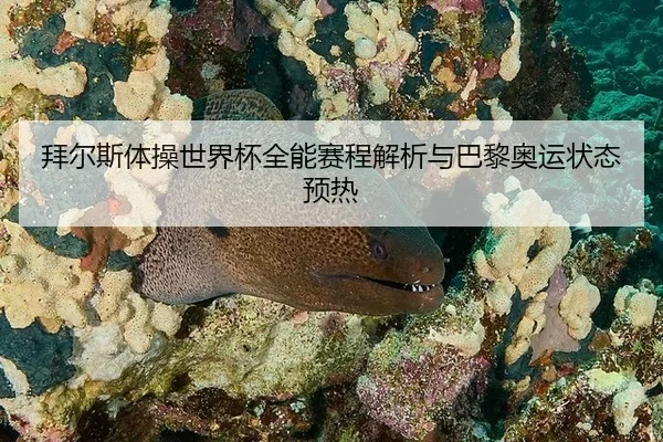 拜尔斯体操世界杯全能赛程解析与巴黎奥运状态预热