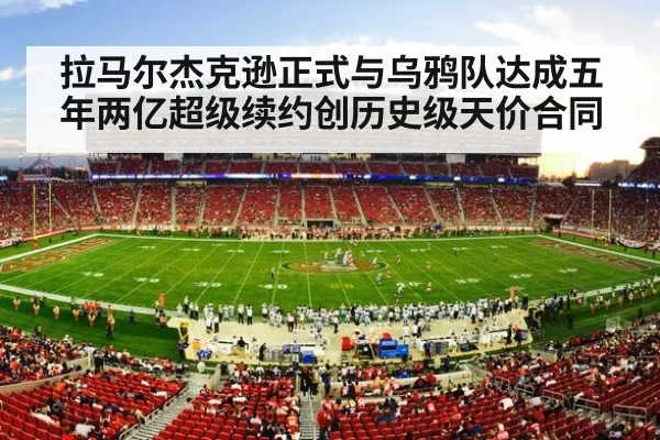 NFL stadium crowd