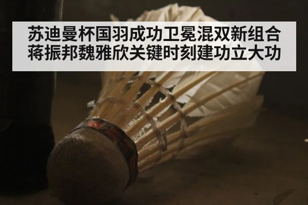 苏迪曼杯国羽成功卫冕混双新组合蒋振邦魏雅欣关键时刻建功立大功